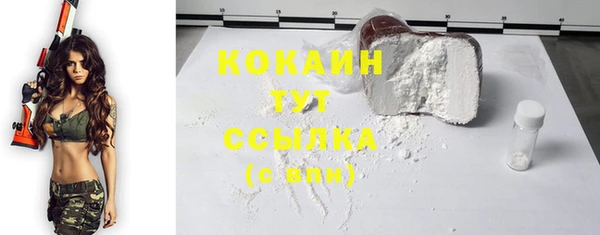 крисы Сатка